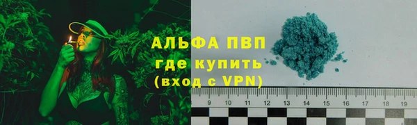 стаф Волосово