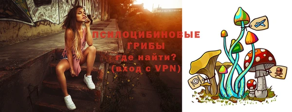 стаф Волосово