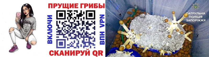 Купить  Красноармейск  Галлюциногенные грибы прущие грибы 